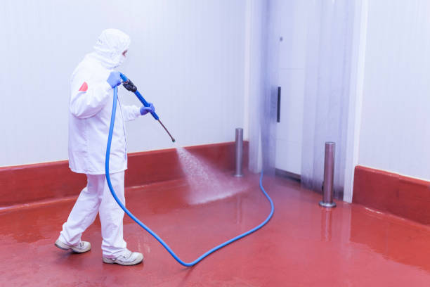 Best Soft Washing  in Town And Country, WA